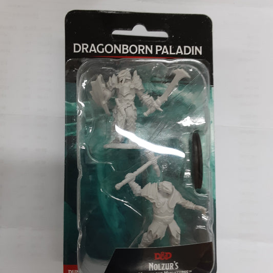 Dragonborn Paladin (UNPAINTED)