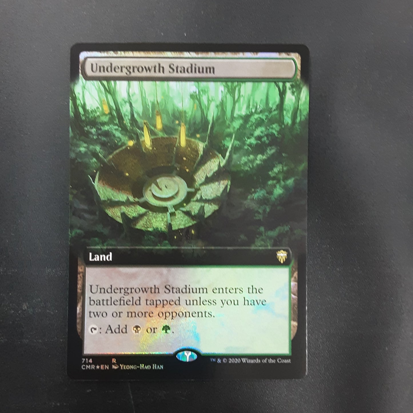 Foil Undergrowth Stadium (Borderless)