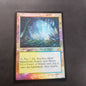 Misty Rainforest - Retro Foil