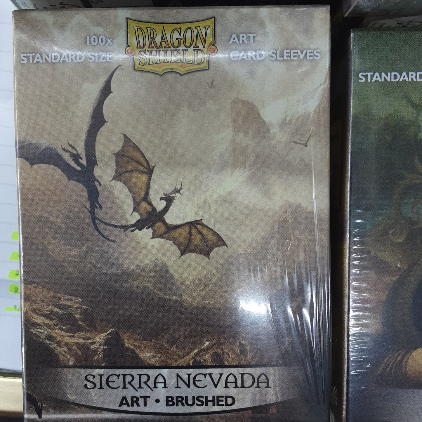 Dragon Shield 100ct Art Sleeves