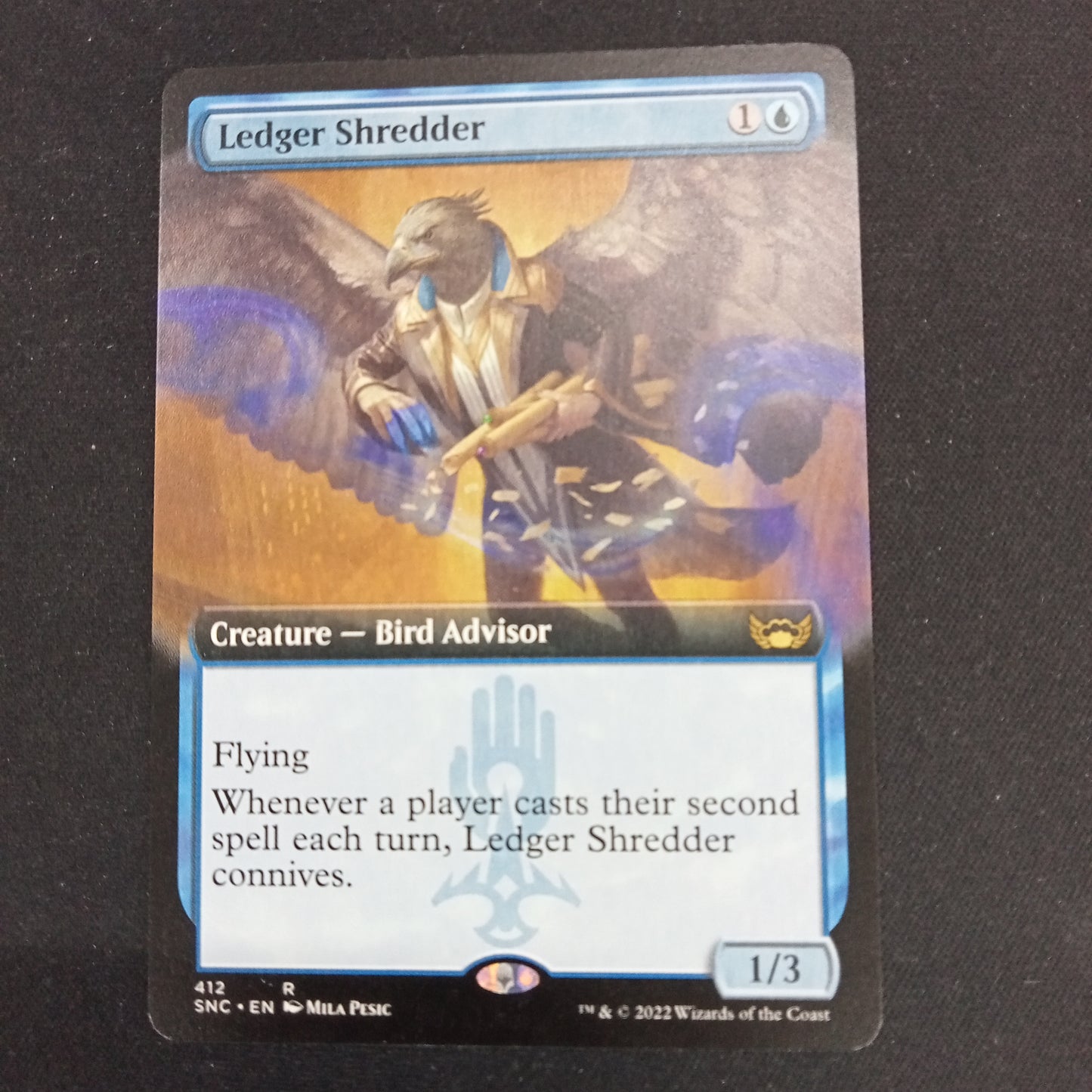 Ledger Shredder (extended art, SNC)