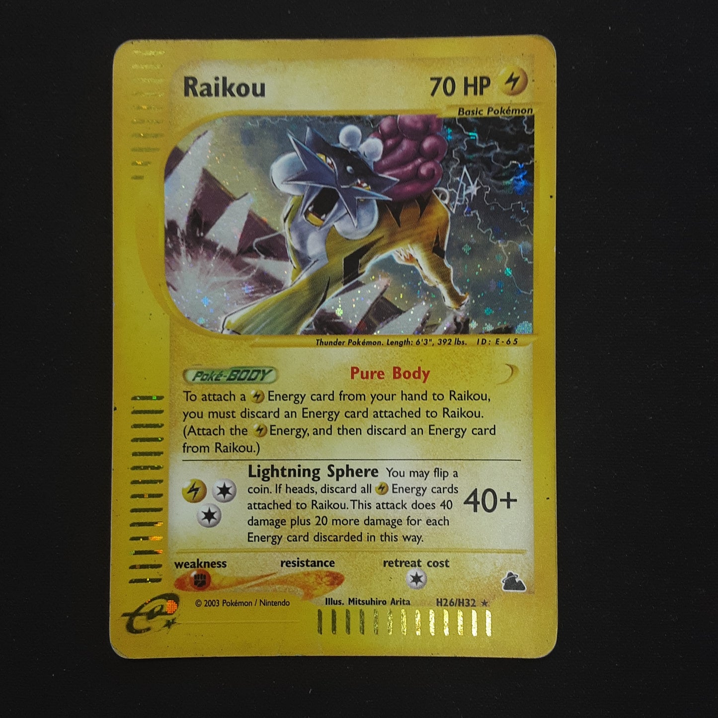 Raikou - Holo - Skyridge