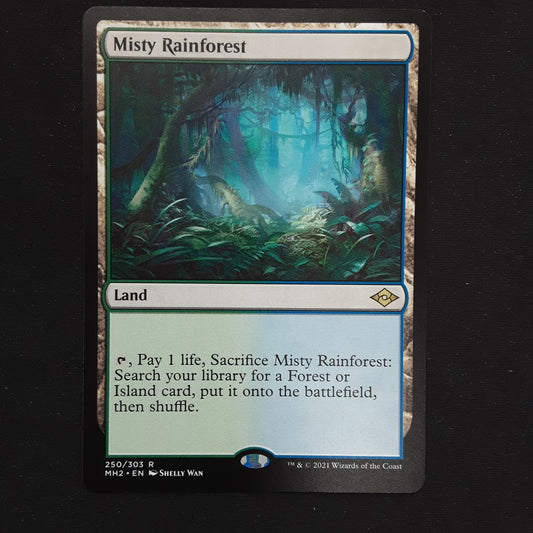 Misty Rainforest - MH2