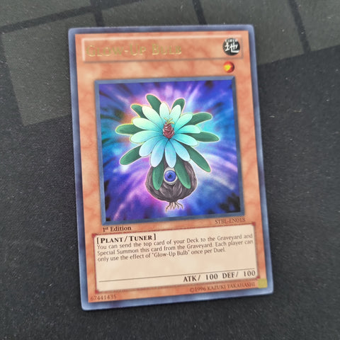 Glow-Up Bulb