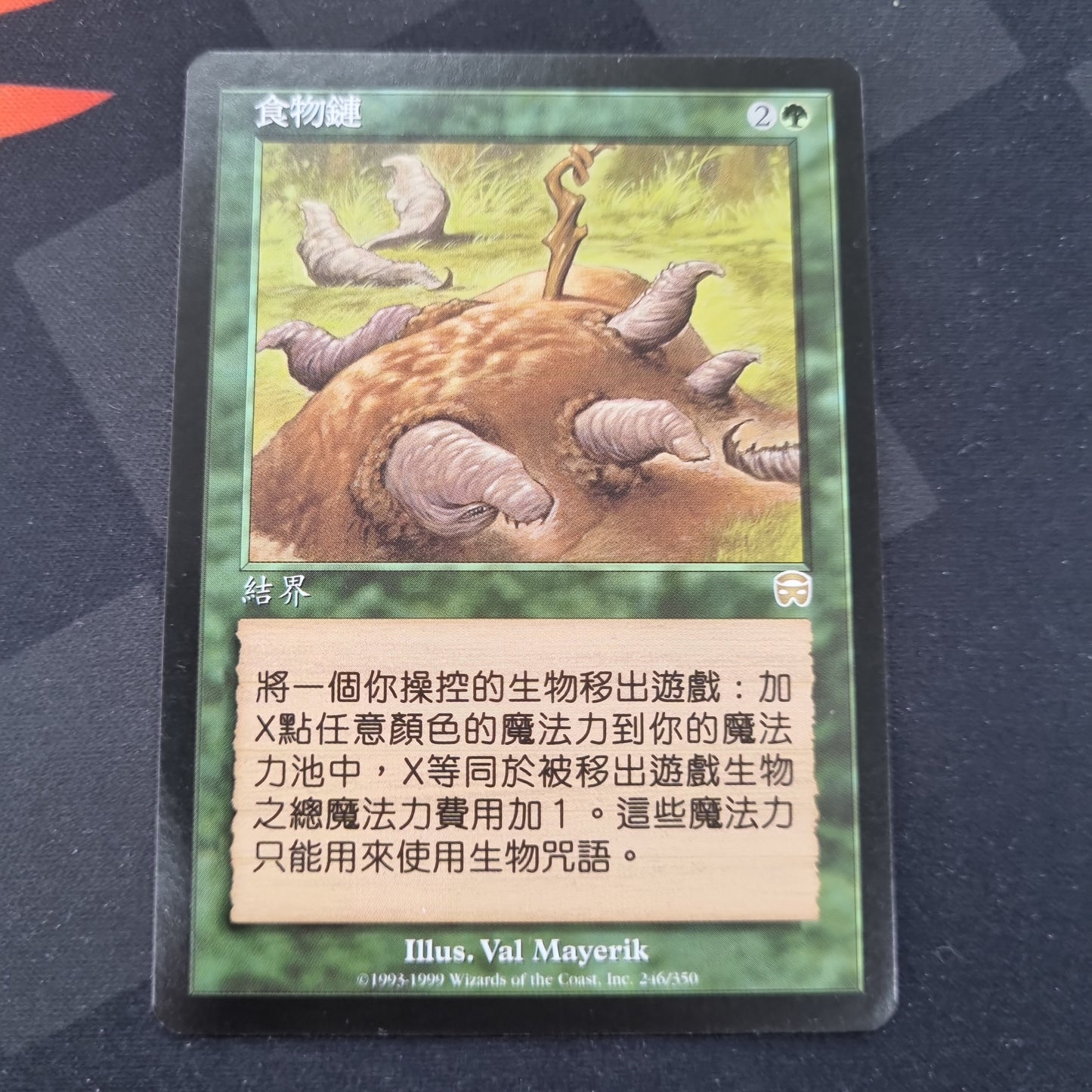 Food Chain - Chinese