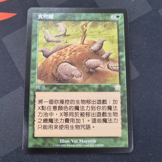 Food Chain - Chinese