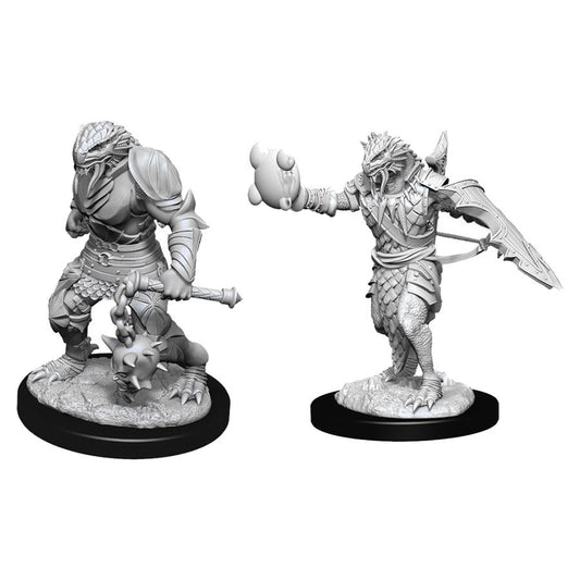 Male Dragonborn Paladin (UNPAINTED)
