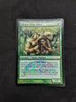 Sakura-Tribe Elder