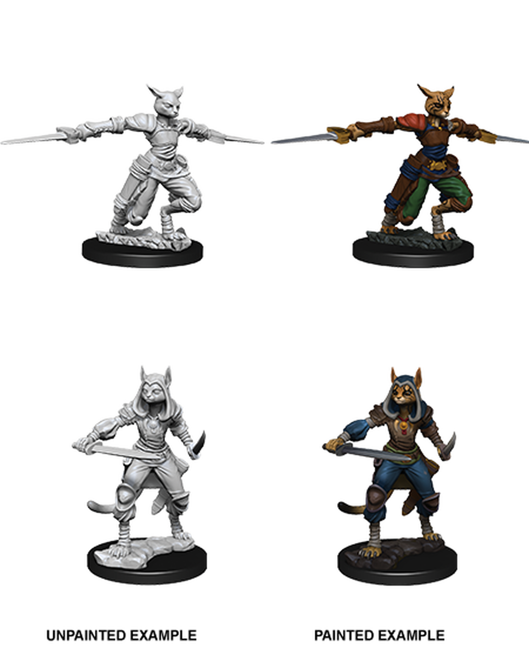Female Tabaxi Rogue (UNPAINTED)