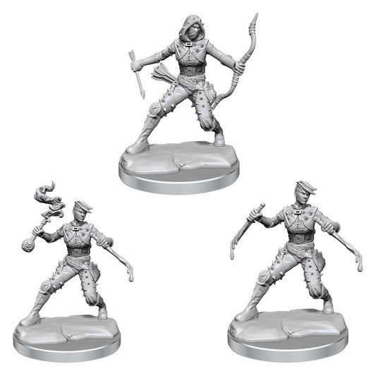 D&D Frameworks Miniatures: Human Rogue, Female