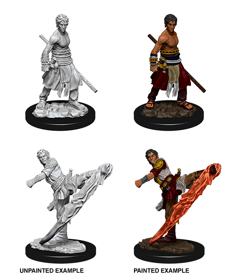 Half-Elf Monk (UNPAINTED)