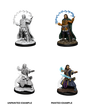 Male Human Wizard