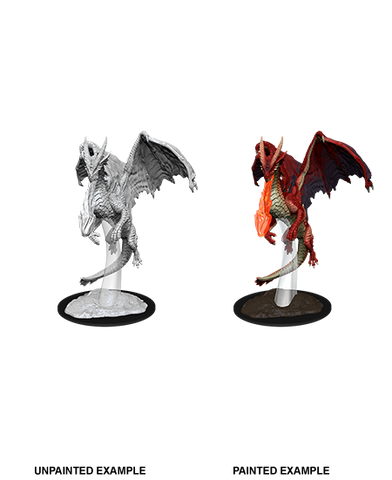 Young Red Dragon