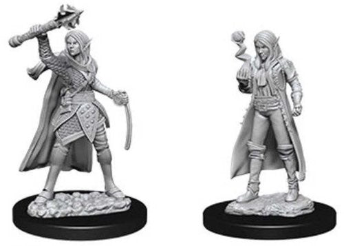 Elf Cleric Female