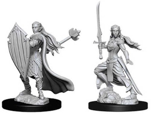 Elf Paladin Female