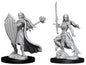 Elf Paladin Female