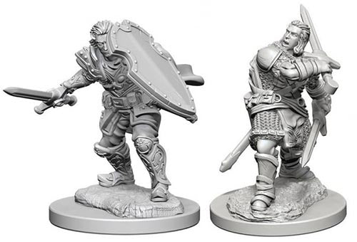 Human Paladin Male