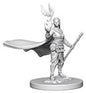Human Druid Female