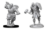Goliath Fighter