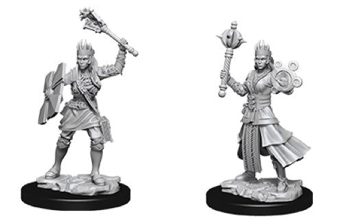 Human Cleric Female