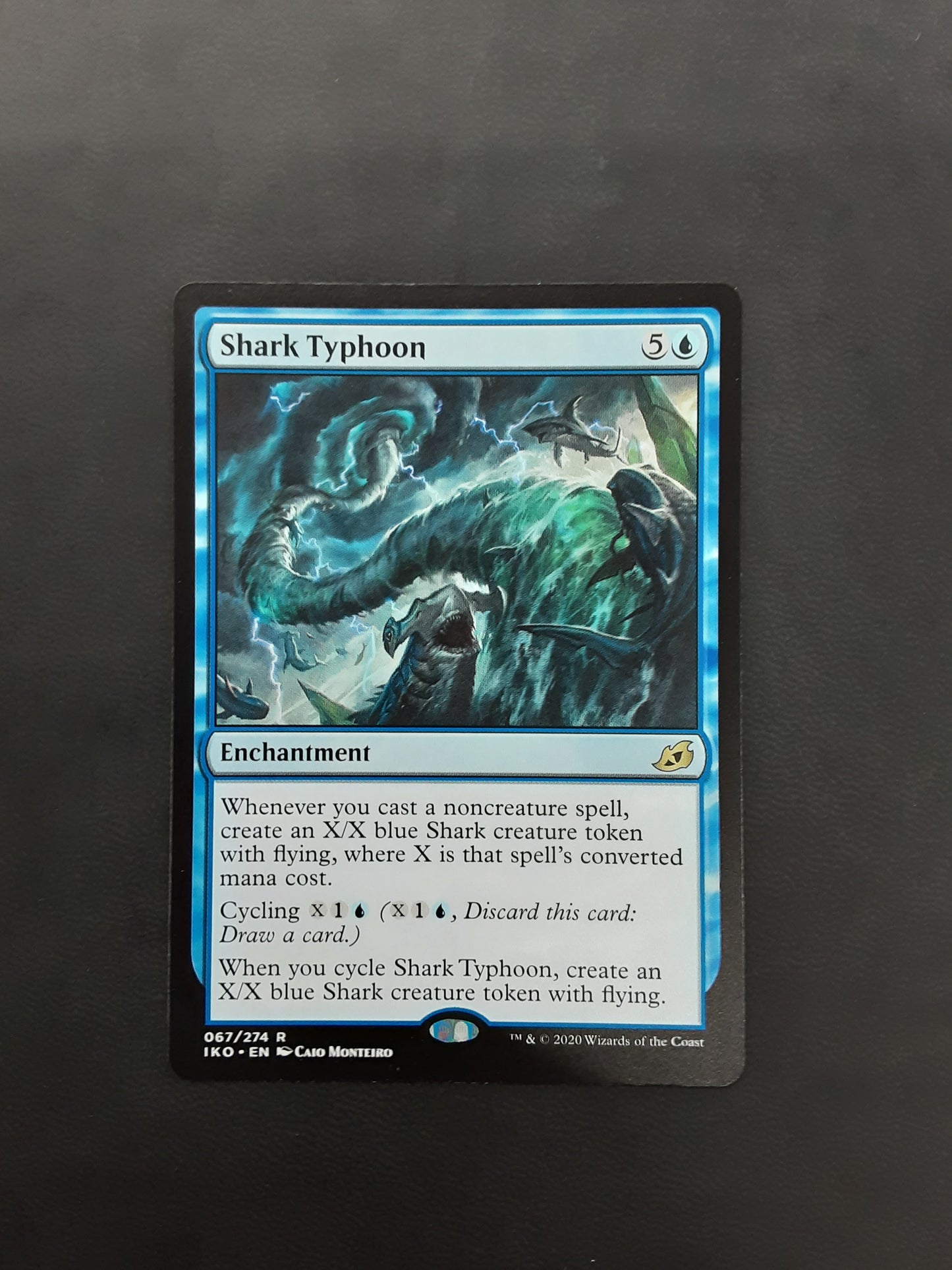 Shark Typhoon
