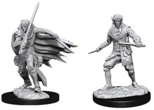 Elf Rogue Male