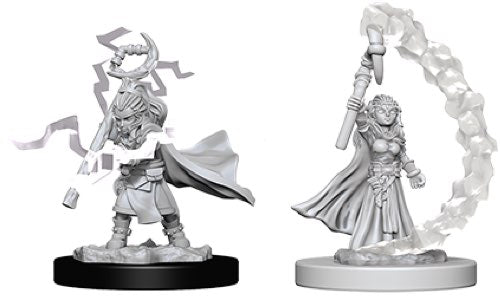 Gnome Female Sorcerer