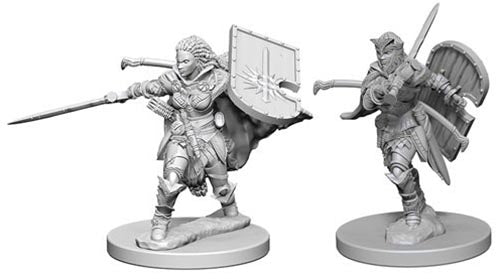 Human Female Paladin