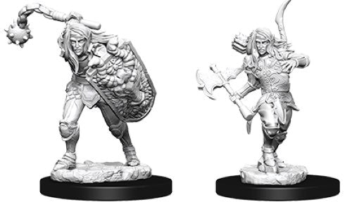 Male Elf Fighter