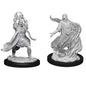 Male Elf Sorcerer (UNPAINTED)