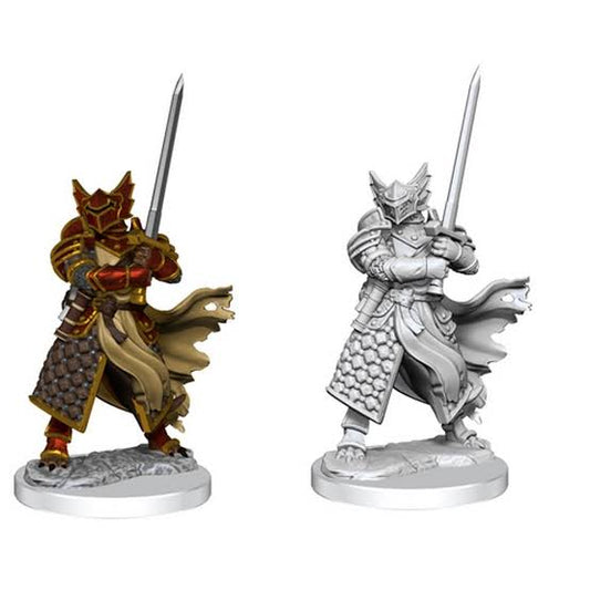 D&D Frameworks Miniatures: Dragonborn, Paladin