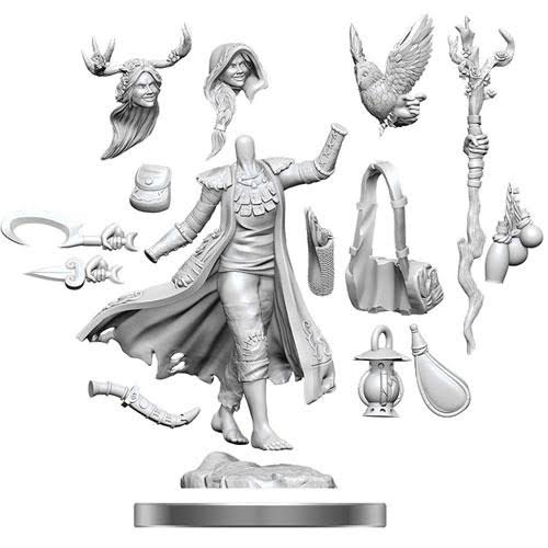 D&D Frameworks Miniatures: Human Druid, Female