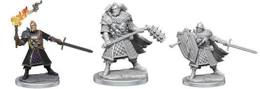 D&D Frameworks Miniatures: Human Fighter, Male