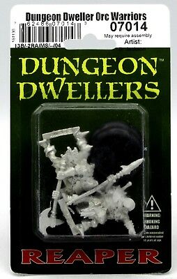 Dungeon Dweller Orc Warrior