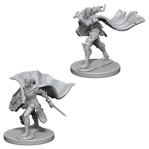 Pathfinder Deep Cuts: Elf Female Paladin