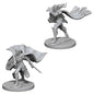 Pathfinder Deep Cuts: Elf Female Paladin