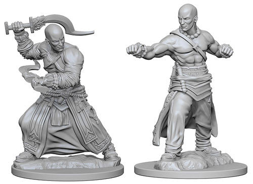 Pathfinder Deep Cuts: Human Male Monk