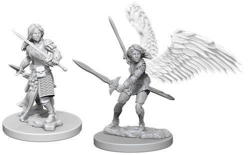 D&D Nolzur's Marvelous Aasimar Paladin