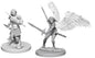 D&D Nolzur's Marvelous Aasimar Paladin
