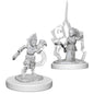 Pathfinder Deep Cuts: Gnome Female Druid