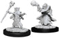 D&D Nolzur's Marvelous Gnome Wizard