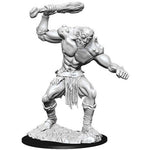 D&D Nolzur's Marvelous Fomorian