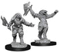 D&D Nolzur's Marvelous Dragonborn Fighter