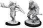D&D Nolzur's Marvelous Dragonborn Paladin