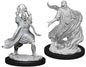 D&D Nolzur's Marvelous Elf Sorcerer