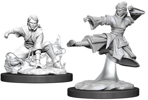Female Human Monk (UNPAINTED)