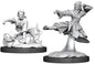Female Human Monk (UNPAINTED)